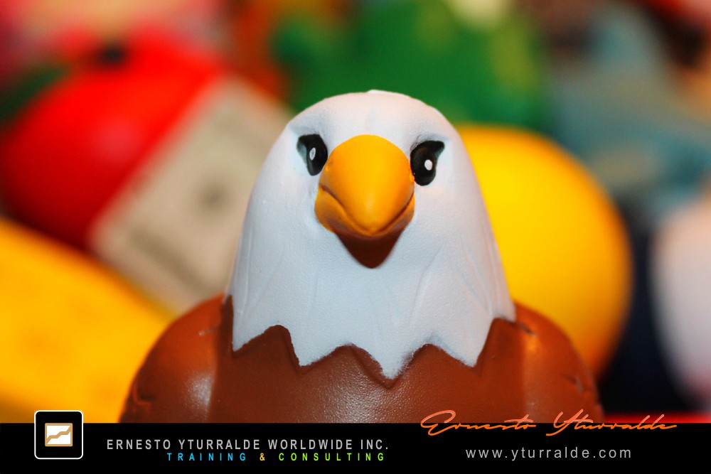 Team Build Inc. | Taller de Trabajo en Equipo para Empresas